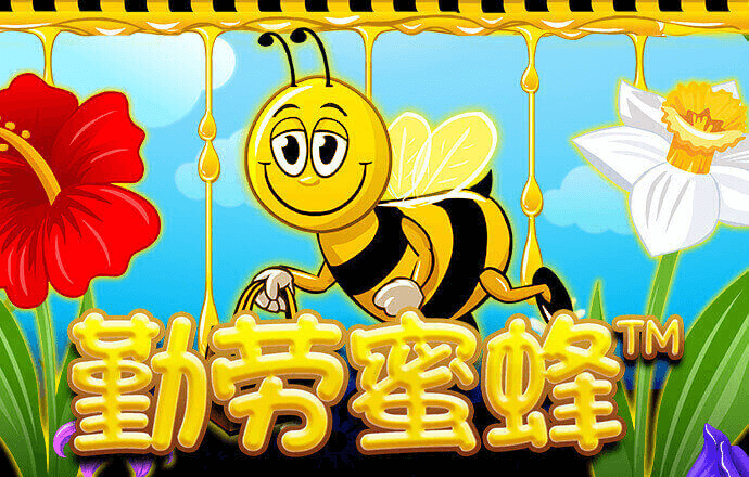 冠竞体育app下载官网